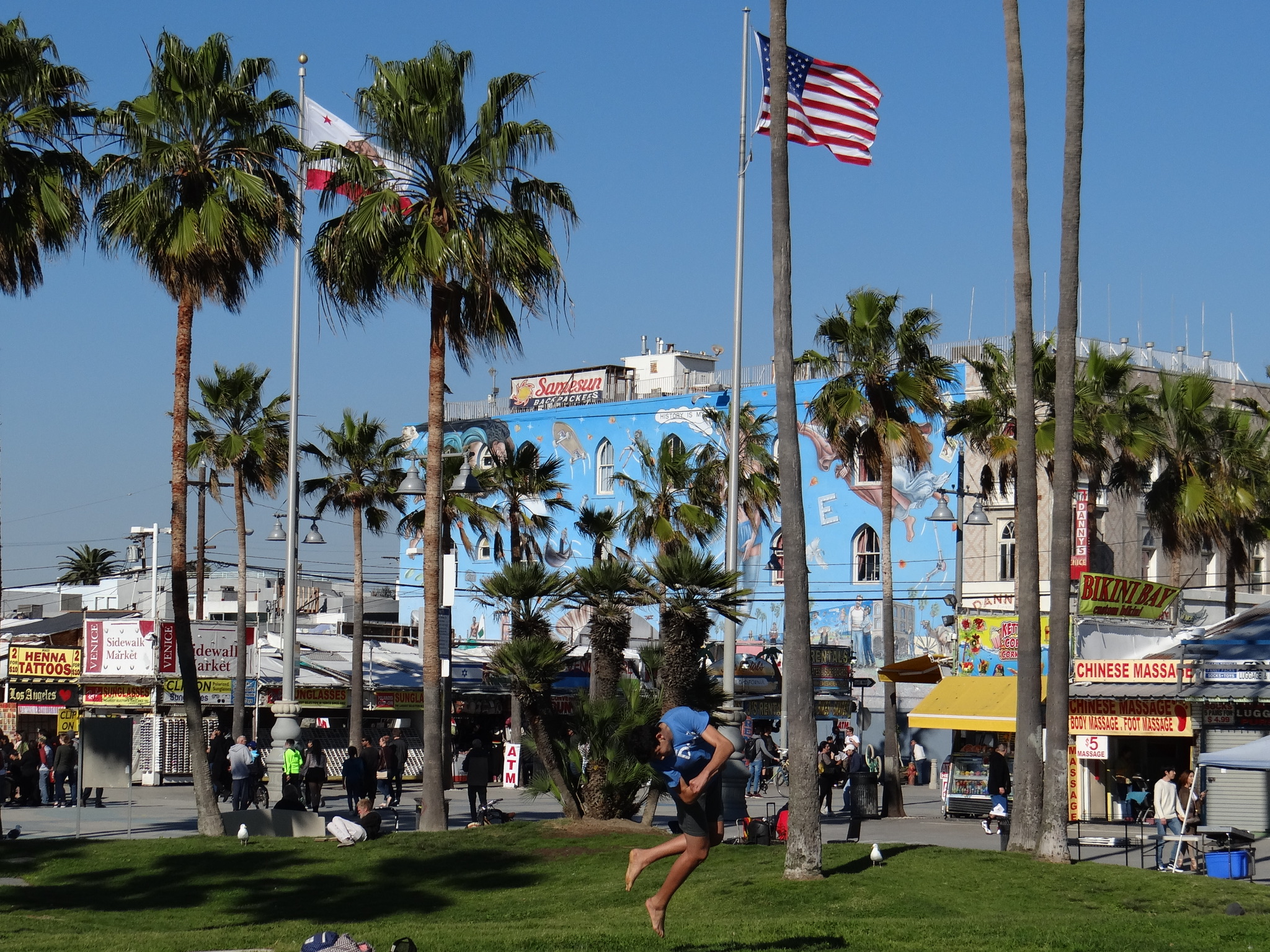 Venice neighborhood in Los Angeles