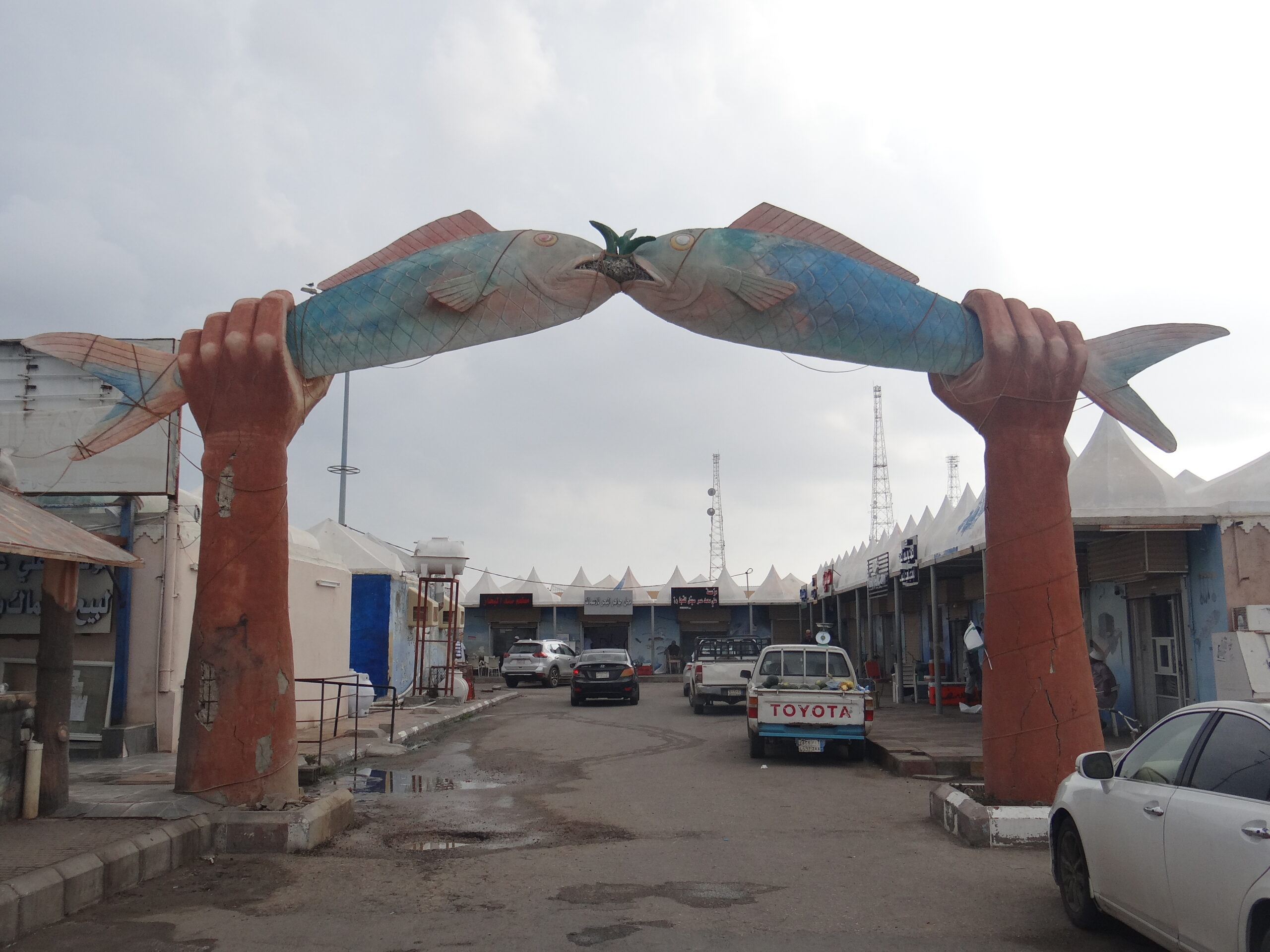 Como visitar las Islas Farasan : Fish Market